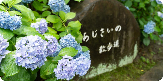 鶴舞公園