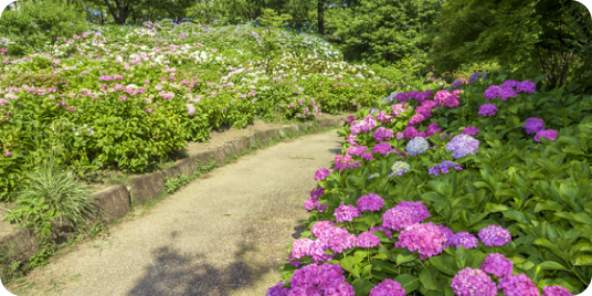 茶屋ヶ坂公園